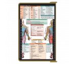 WhiteCoat Clipboard® - Tactical Brown Physical Therapy Edition